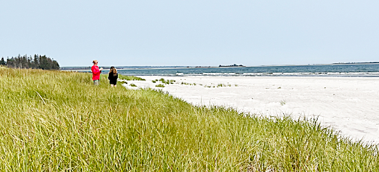 Welcome to NovaScotiaGetaways.com. What are you doing this weekend?