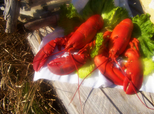 A lobster dinner delivered to your door.